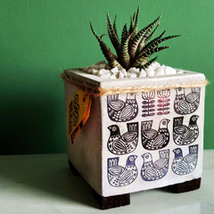 گلدان بتنی مکعب طرح کبوتر مشکی